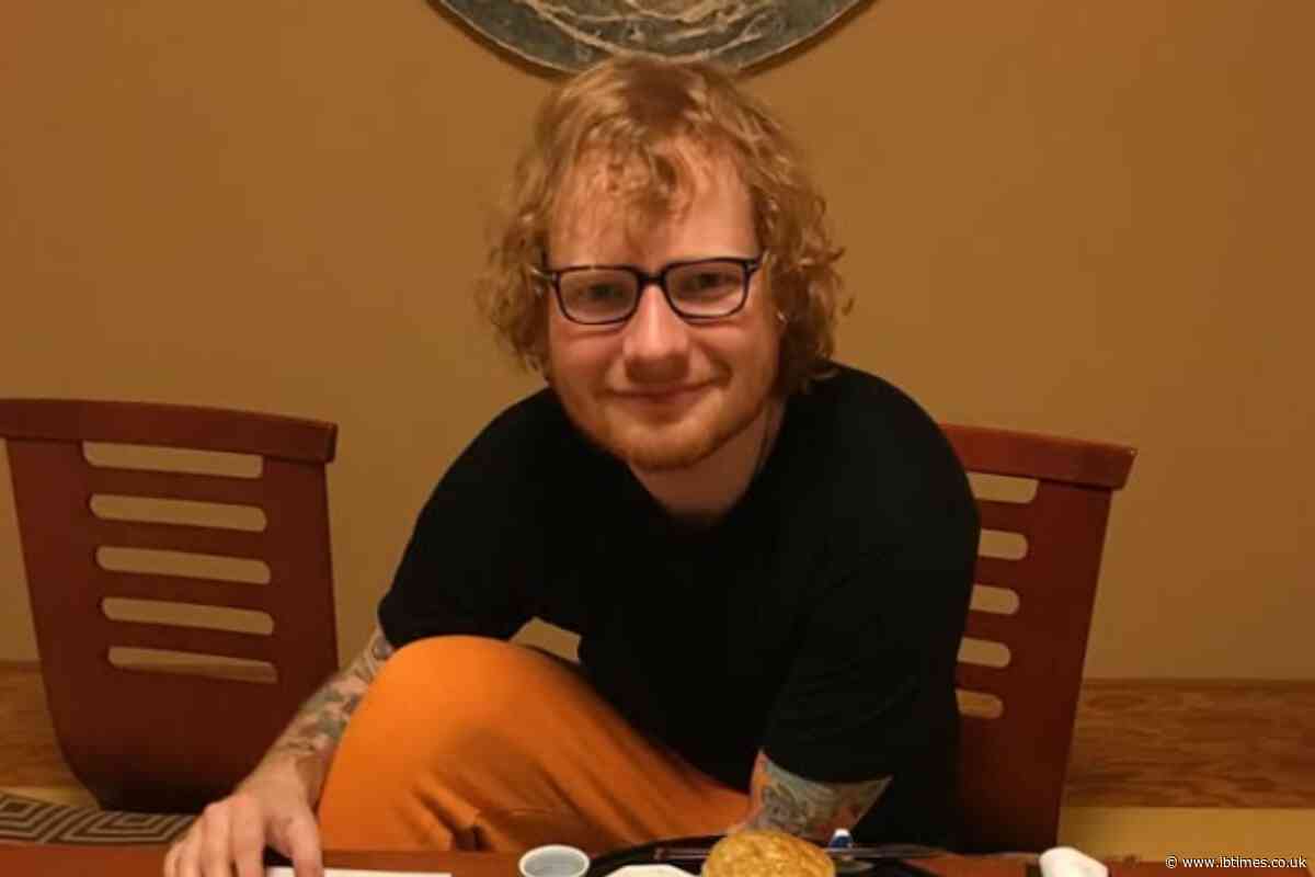 Ed Sheeran Tour Rocked by Mass Walkout as Finneas and Three Acts Quit After Macklemore Axe