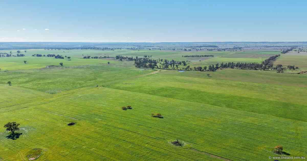 Quamby sold under the hammer in red hot auction result | Photos