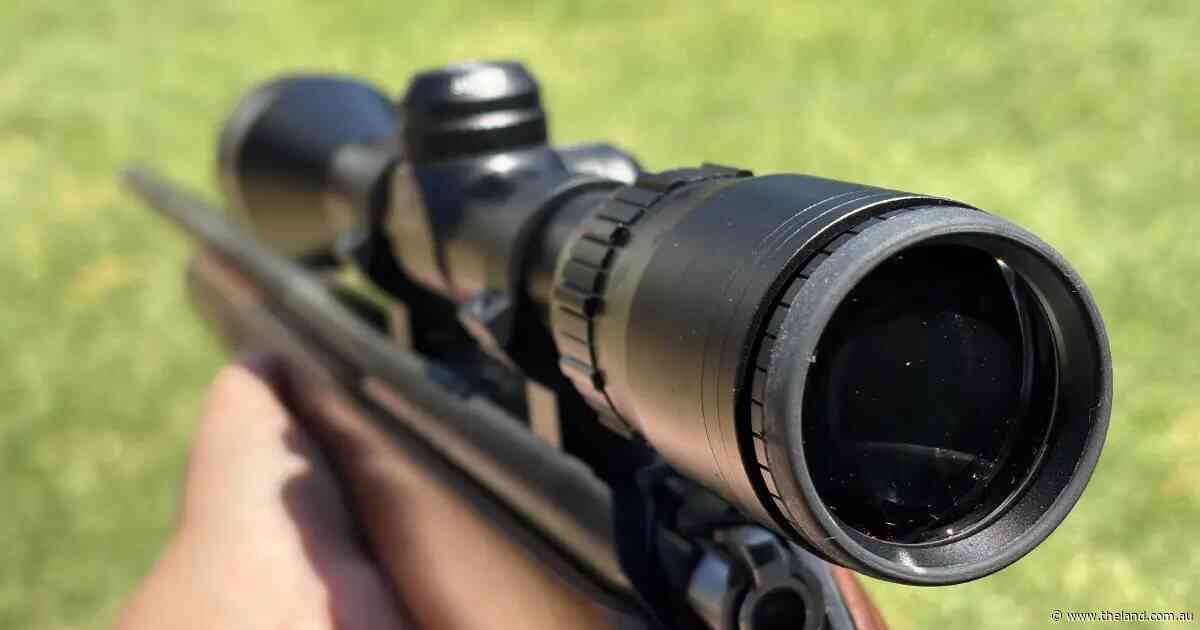 Bid to overturn incoming firearms buyback fails in NSW state parliament