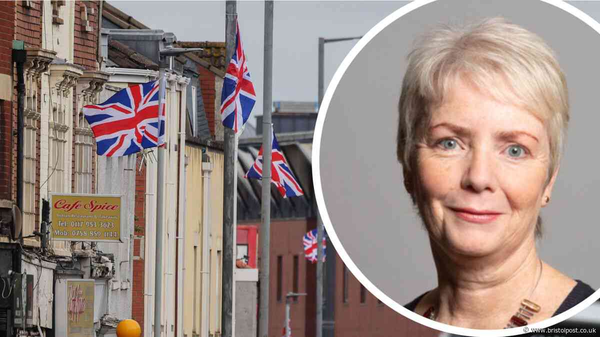MP calls for 'unlawful and divisive' flags to come down