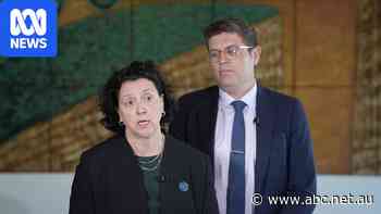 Live: Brethren leaders to be hauled before inquiry over election harassment claims