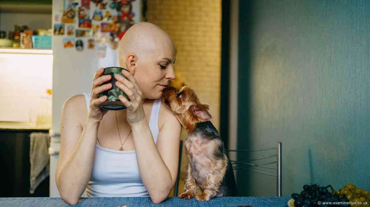 Cancer patients can cut risk of death by 23 per cent, study shows