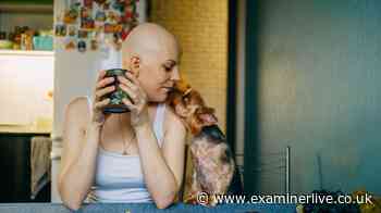 Cancer patients can cut risk of death by 23 per cent, study shows