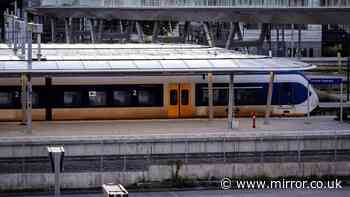 Netherlands trains chaos after 'act of sabotage with pipes attached to tracks'