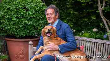 Monty Don says September is key time to do one thing for bumper summer harvest