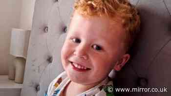 Brantham missing boy - latest: Desperate search for Noah, 3, who 'won't respond to his name'