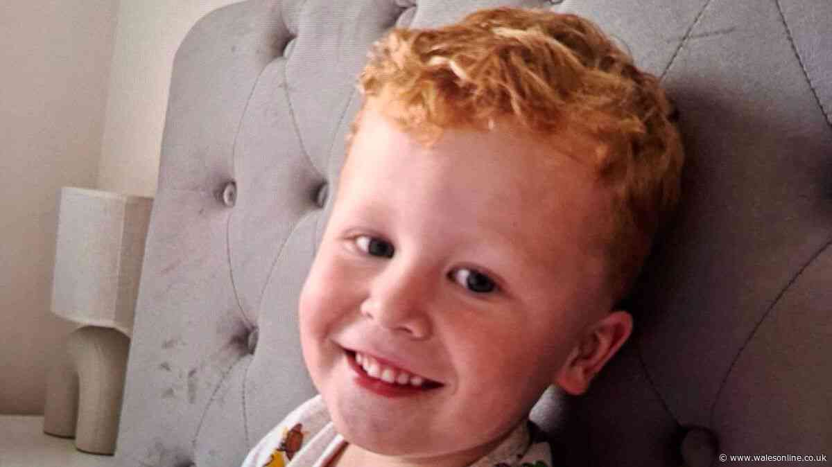 Police issue new update as urgent search for missing three-year-old continues overnight