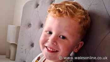 Police issue new update as urgent search for missing three-year-old continues overnight