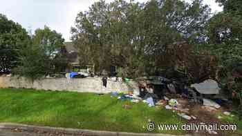 Sydney home once owned by hoarder who lived in front yard reportedly sells for $1.8m