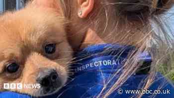 Animal welfare and rehab site moves step closer