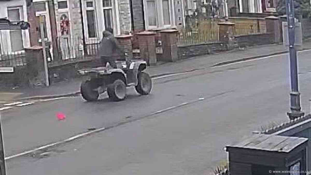 Quad bike rider runs over dogs after mounting pavement in Caerphilly