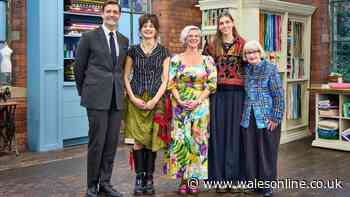 Who won Great British Sewing Bee? Fans left divided after intense finale