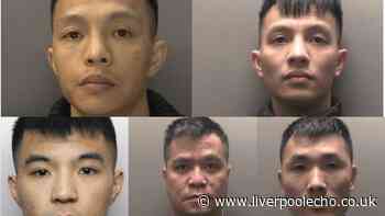 Twin brothers claimed to be smuggling chickens into UK but the truth was far more sinister