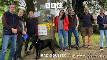 Oak tree that campaigners camped beneath is saved