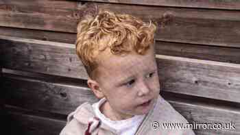 Missing Noah - latest: Father of Suffolk boy, 3, issues desperate plea for help