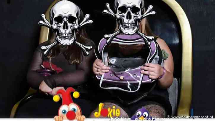 Papegaai in Efteling-attracties zorgt voor ophef, park gaf toestemming