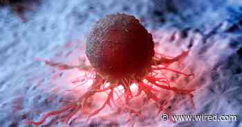 ‘Smart’ Nanoparticles Deliver mRNA Directly to Tumors in New Cancer Therapy