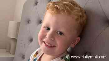 'I can't go another night knowing he's out there alone': Father of missing non-verbal, partially deaf Noah, 3, pleads for public's help to find him as search enters second day after he vanished from park