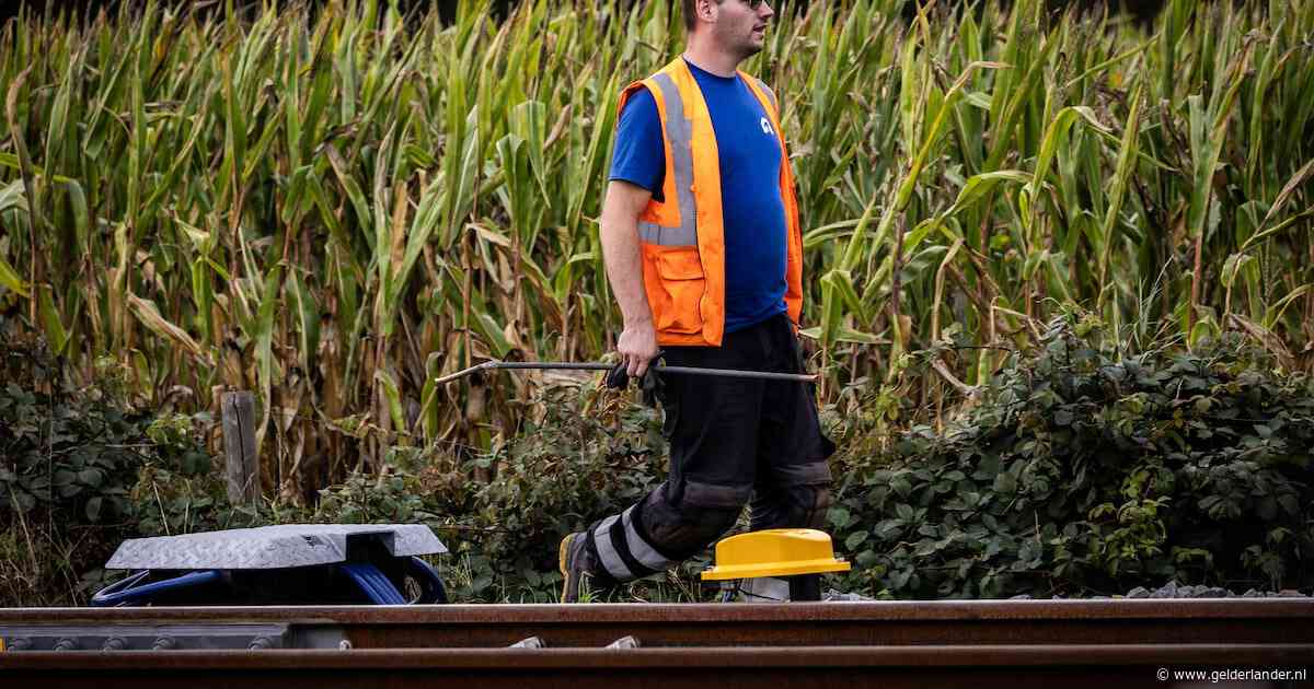 Nog geen aanhoudingen na grootschalige spoorsabotage, maar ‘daders krijgen we wel te pakken’