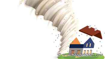 Sachschäden: Neuronale Netze  spüren Versicherungs-Betrüger auf