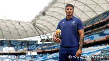 Waratahs’ firebrand could become a Springbok-style asset, says coach