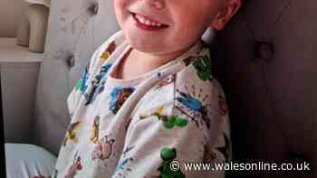 Missing three-year-old Noah Woods live updates as dad issues desperate plea