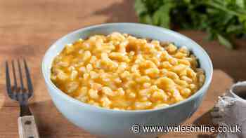 Mac and cheese recipe is extra indulgent if you add 1 ingredient before cooking