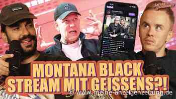 „Alles geklaut“: Monte-Stream bei Geissens macht Podcast-Host sauer