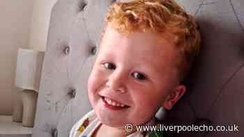 'Search your sheds' plea as hunt for missing Noah, 3, continues