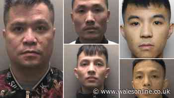Welsh nail bar linked to migrant smuggling ring