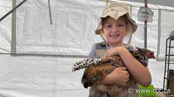 Fowl fashion takes centre stage at poultry costume contest in Morse, Sask.