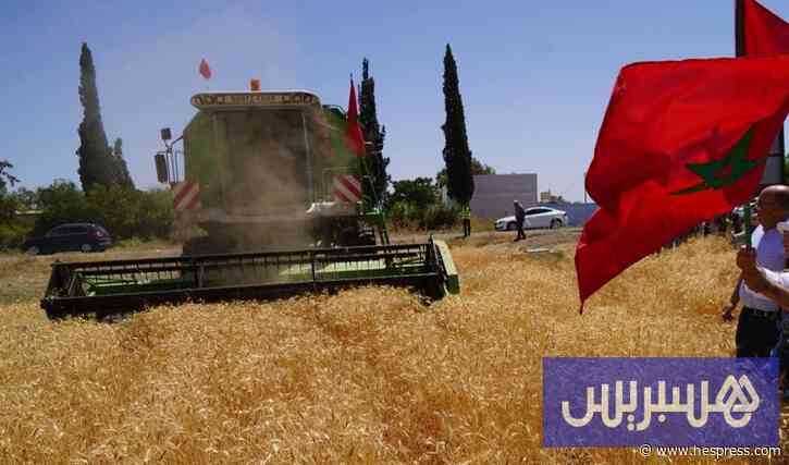 النفط والأسواق الخارجية والفلاحة يرسمون ملامح النمو الاقتصادي بالمملكة