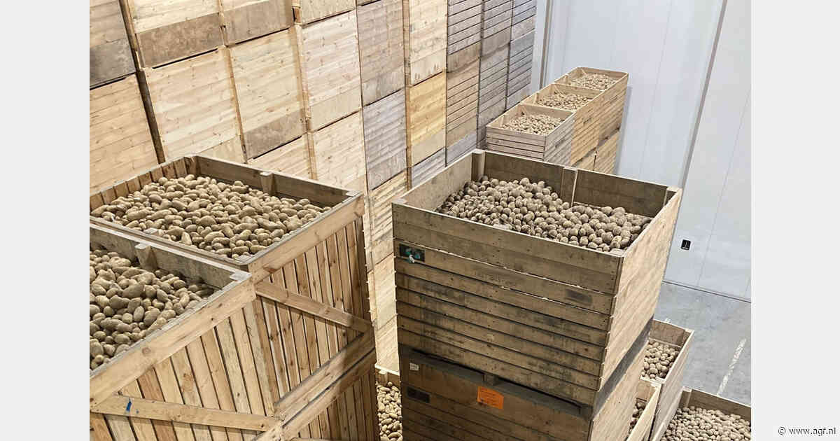 Welke kansen liggen er nog voor Franse aardappelen op de Britse markt?