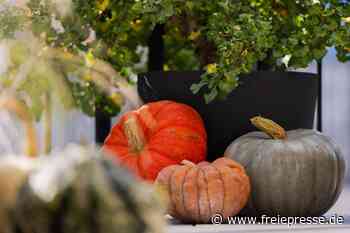 Von Rochlitz bis Clausnitz: Herbstliche Märkte und Feste am Wochenende