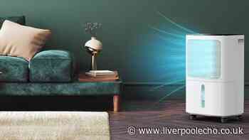 'Quiet' £130 dehumidifier that eliminates 'musty smell' and damp drops to £96