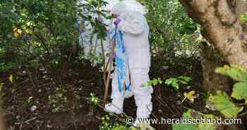 Two on trial accused of killing man before dumping remains across west of Scotland