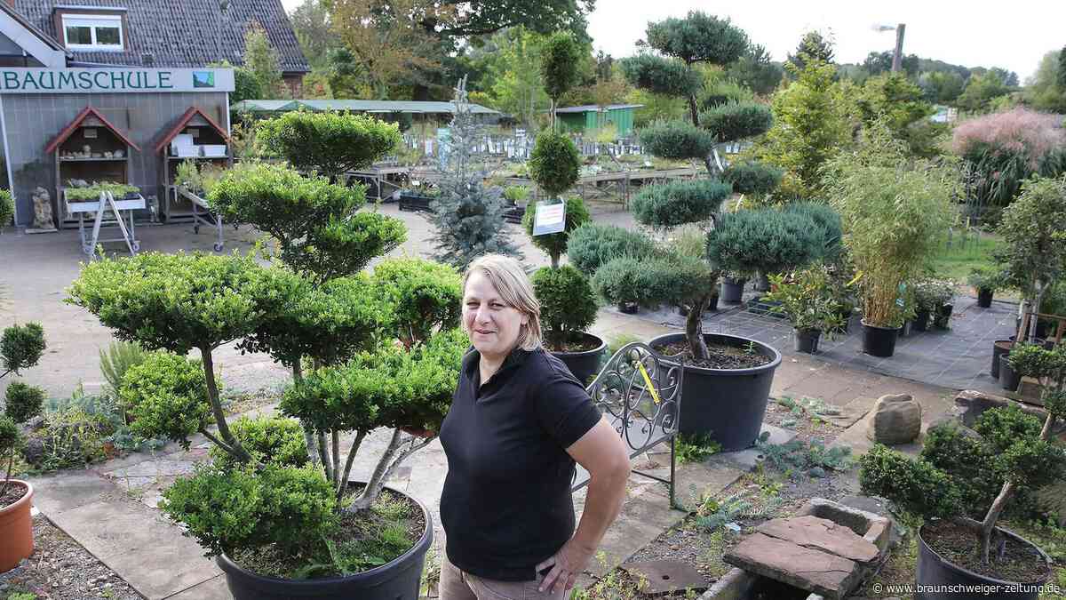 Aus nach fast 60 Jahren: Wolfsburger Traditionsbetrieb für  Gartenfans schließt