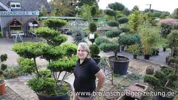 Aus nach fast 60 Jahren: Wolfsburger Traditionsbetrieb für  Gartenfans schließt