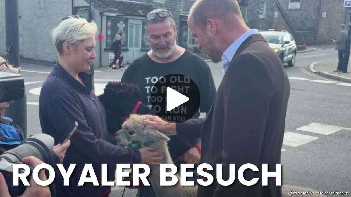 Prinz Williams unerwartete tierische Begegnung