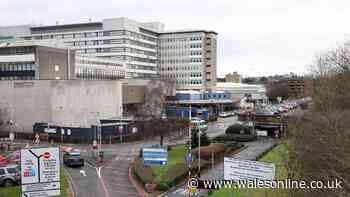 A&E worker accused of strangling woman
