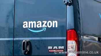 Urgent alert over popular Amazon furniture buy that can suddenly 'snap shut'