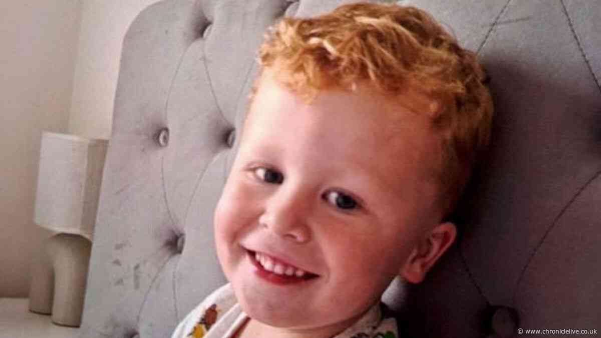 Father of missing boy, 3, issues desperate plea as search continues