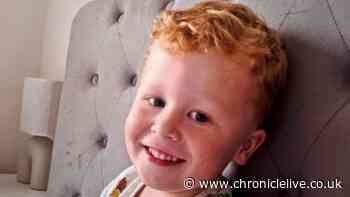 Father of missing boy, 3, issues desperate plea as search continues