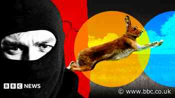 Cruel hare coursers leave 22 dead animals at farm