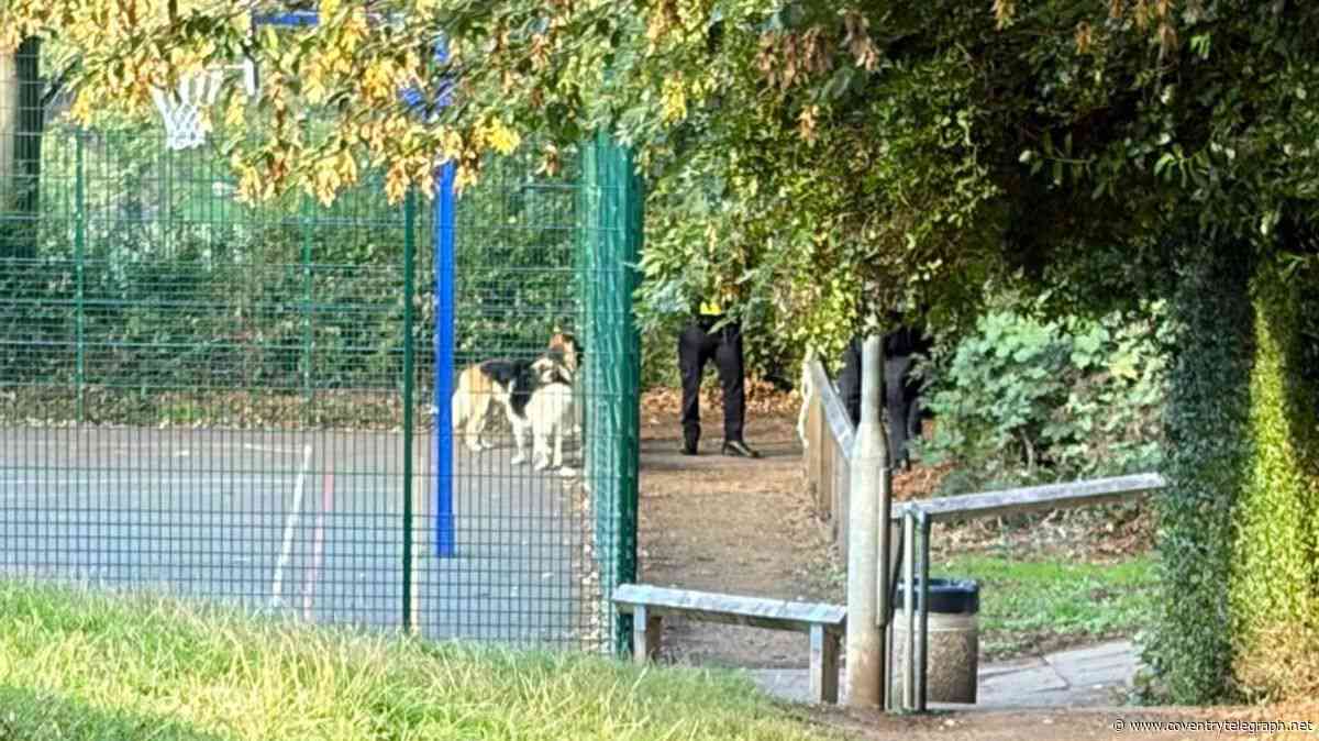 'Dogs on the loose' at Coventry school as police called in
