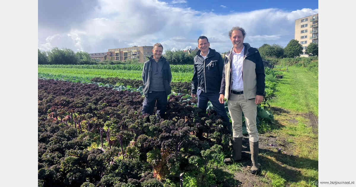 Tuinderij en bezorgdienst Kievit ontvangt Katwijkse wethouders voor gesprek over biologische landbouw