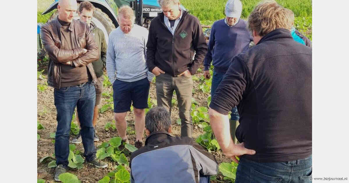 Vlaanderen stelt 1 miljoen euro beschikbaar voor demonstratieprojecten duurzame landbouw