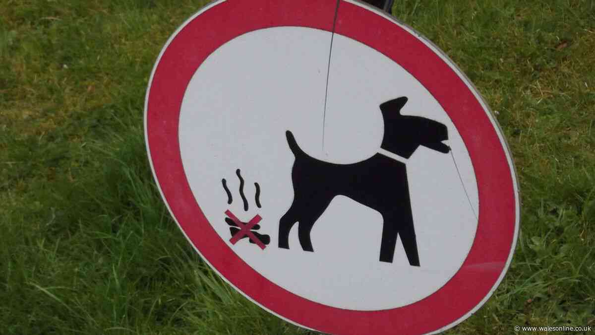 'Overwhelming support' for dog fouling controls in RCT