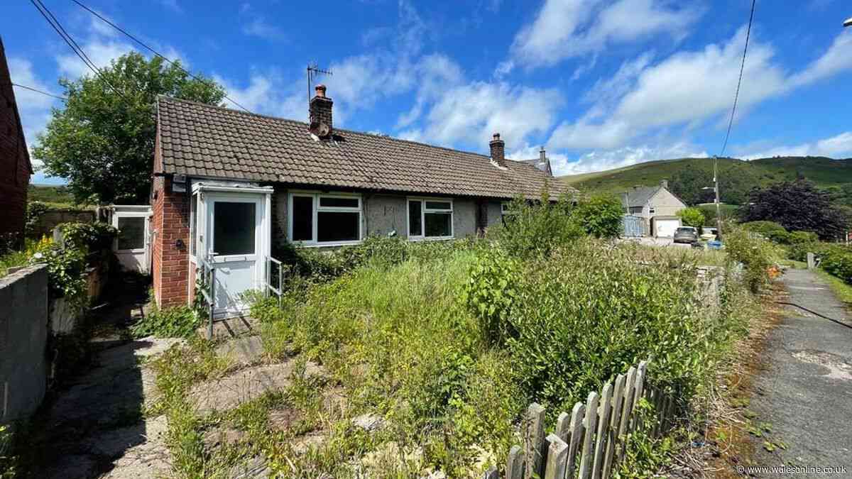 Entire row of bungalows in Welsh village going to auction for price of Cardiff semi
