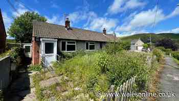 Entire row of bungalows in Welsh village going to auction for price of Cardiff semi